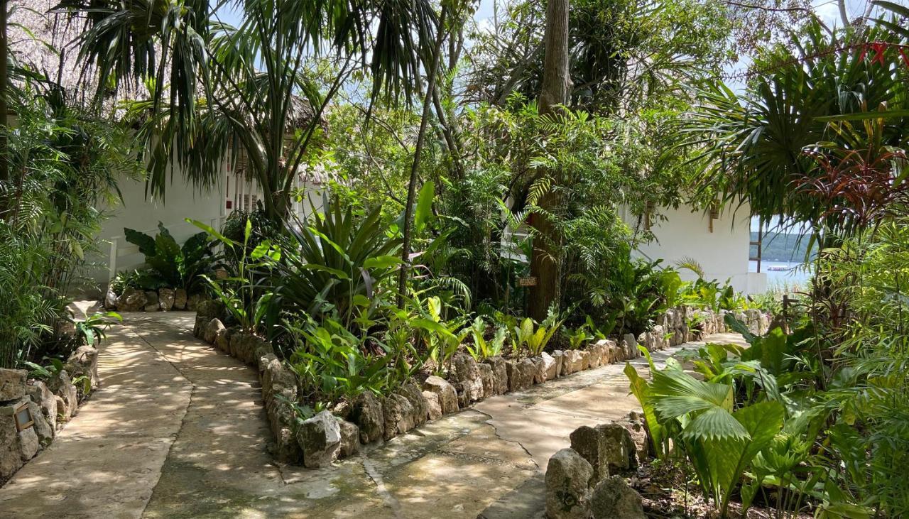 Maya Internacional Flores Bagian luar foto